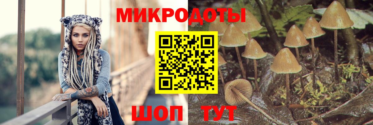 Галлюциногенные грибы Magic Shrooms Когалым